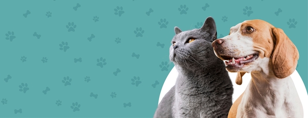 Banner clinique vétérinaire